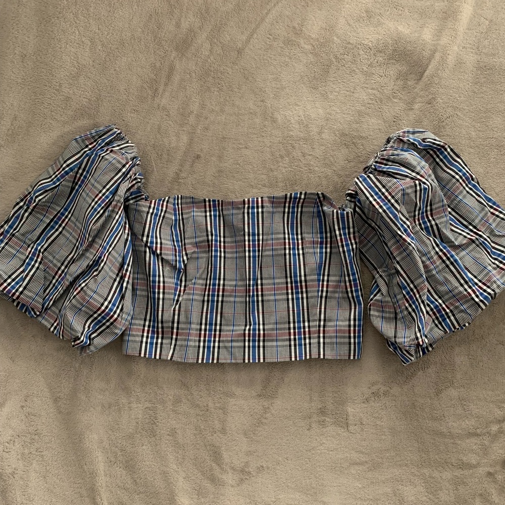 Zara Balloon Sleeve Crop Top